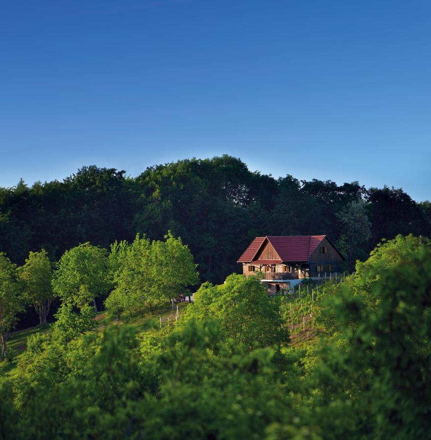 Green Silence Bedenica Exteriér fotografie